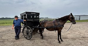 A Window into Another Way of Life: Traveling Through Indiana‘s Amish Country’