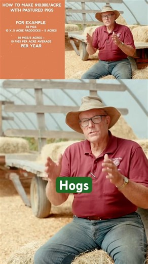 How Joel Salatin Raises 10 Hogs Per Acre (And Heals the Land) #regenerativefarming #pigs