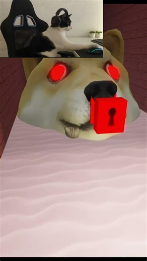 CAT X DOG Escape from Doge head - Roblox | DOGE HEAD ESCAPE #roblox #escape