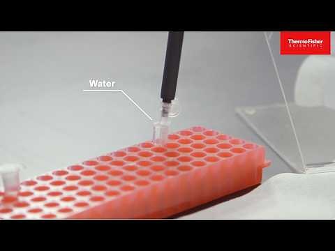 How TOPO PCR Cloning Works: Easy DNA Cloning with Life Technologies