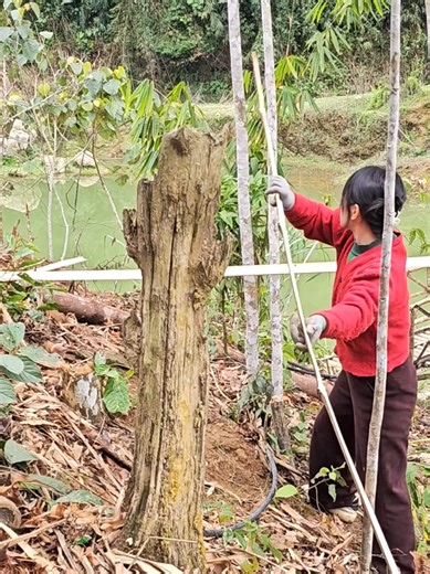 Build a Stunning 2-Storey Bamboo Frame Pond