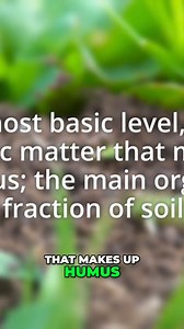 Join us as we unravel the fascinating concept of humate! Learn about its role as the organic cornerstone of soil and its origins in the natural decomposition of plant and animal matter. Perfect for gardening enthusiasts and eco-conscious individuals seeking to enhance their understanding of soil health! #Humate #SoilHealth #GardeningTips #OrganicMatter #EcoFriendly #SoilScience #PlantDecomposition #NaturalFertilizers #SustainableGardening #EnvironmentalEducation | Southland Organics | Facebook