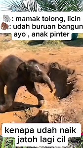 Licin apa kebesaran badan cil..😁😁😁 | Ismiati