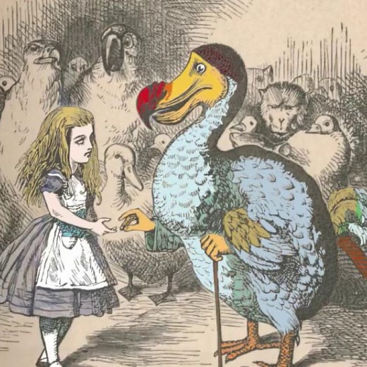 How the dodo lived
