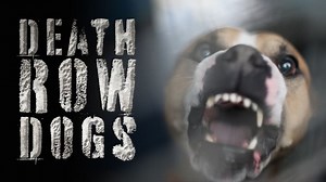 Death Row Dogs (2008)