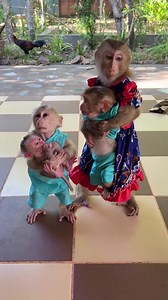 13K views · 135 reactions | The lesson is below. ⬇️ | Lovely Baby Monkey | Facebook