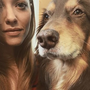 188K views · 974 reactions | Actress Amanda Seyfried says her 10-year-old dog, Finn, has given her everything. In the latest episode of “My Pet Tale,” Seyfried shares how the Aussie shepherd border collie mix is the “docile” star of her Instagram movies. | Today Show | Facebook