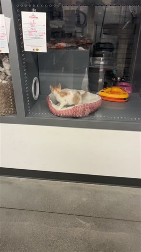 Tracey Mathis (@traceymathis0)’s videos with original sound - Tracey Mathis