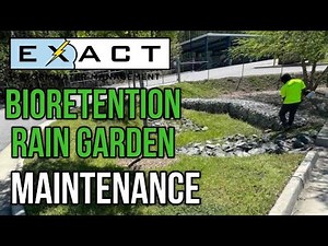 Stormwater BMP: Bioretention (Rain Garden) Maintenance | Exact