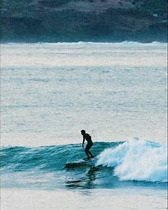 14 reactions | Vans on Reels | Facebook