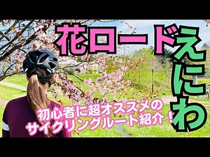 【サイクリング】花ロードえにわ！初心者にオススメのルート紹介！