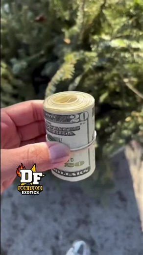 Don’t trust everything you see online 🤣 @ chicagocollectors #chicagotiktok #community #scammers #chicago #fyp