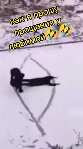 Как попросить прощения у девушки: советы и примеры