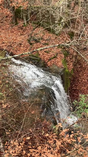 Hawks Nest Rail Trail in Ansted WVA is a great hike with plenty of waterfalls along the way! These two large falls were at the beginning of the first large wooden curved bridge! Totally recommend this hike! #fyp #foryou #waterfalls #trail #railtrail