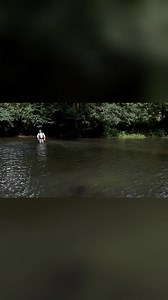 1.6K views · 22 reactions | Struggling with overhead casting against the wind? Discover effective techniques to maintain control and distance. We’ll guide you through back casts and loop control, ensuring your fishing success on still waters. Don’t let the wind hinder your performance! #OverheadCasting #FishingTechniques #FlyFishing #CastingTips #WindResistance #FishingSkills #OutdoorAdventures #FishingLife #LoopControl #StillWaterFishing | Sunray | Facebook