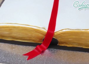1.8M views · 17K reactions | How to Make Holy Bible Cake in American Pasta By: Cakepedia | MetDaan Cakes | Facebook