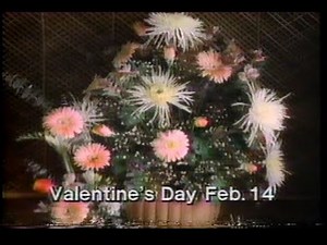 February 10, 1991 commercials