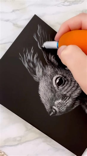 Creating a squirrel on scratchboard #artshort #animalart #wildlifeart #squirrels #scratchart #artist