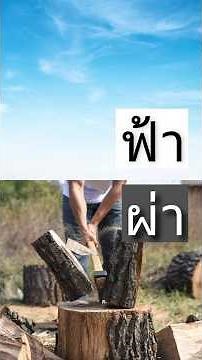 🇹🇭 Can you guess this word right? #learnthai #thailanguage #thaiquiz #palmsamran