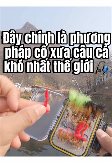Câu Cá Bay: Phương Pháp Câu Cá Khó Nhất Thế Giới