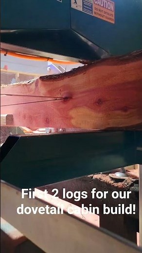 Eastern red cedar 4x6 logs for dovetail cabin build!