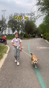 1.1M views · 41K reactions | 5 Prepositions and Their Synonyms! | Englishfuns | Facebook