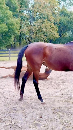 20 reactions | I love to see Delaware lay down and roll. I’m gonna say that that’s progress | D & D Ranch | Facebook