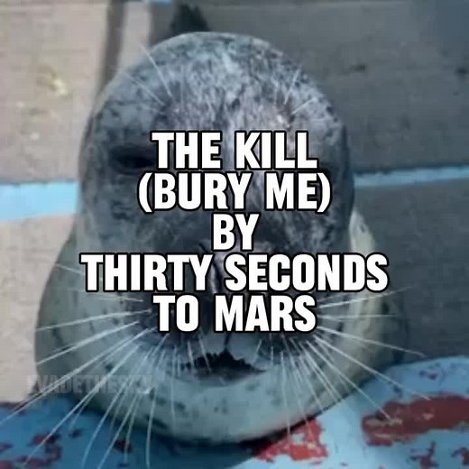 Exploring the Themes in 'Bury Me' by Thirty Seconds to Mars