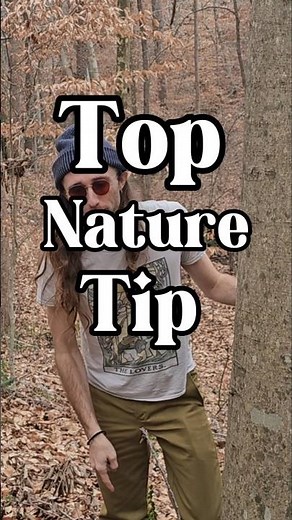 Life's a Beech | How to Identify Trees