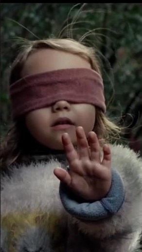 Bird Box (2018) - More Than Just A Horror Movie #shorts