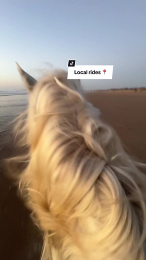 Cuentas recomendadas