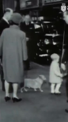 People often judge the royal family by standards of everyday life, but they don't live that way. Growing up with extreme privilege inevitably separates them from reality. It's a world that most people can't fully appreciate. Have you ever thought about this? #RoyalFamily #Privilege #Lifestyle #Royalty #UnitedKingdom | Real Royalty