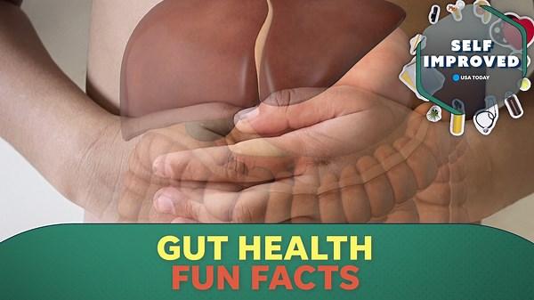 An expert explains why the gut is an important part of the human body