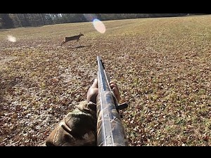 DEER HUNTING W/ DOGS (KILLSHOT) - (THANKSGIVING MORNING AND 11-27-2021)