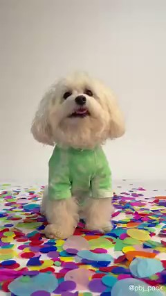 2.3K views · 468 reactions | Is it seriously that time of year...