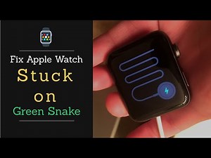 Fix Apple Watch Stuck on Green/Red Snake Screen of Death | Apple Watch not Charging Solved