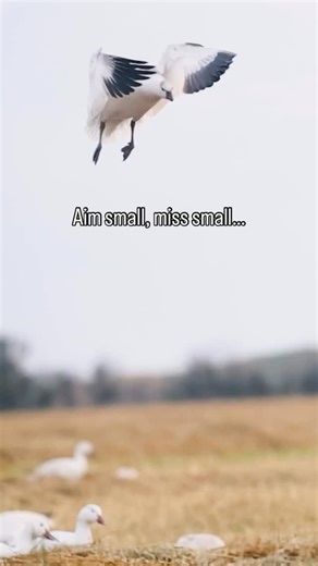 Fish Hunt Forever | Saved the meat. Did the job quickly. Fire up the grill! #waterfowlhunting #waterfowl #snowgoosehunting #snowgeese #goosehunting... | Instagram