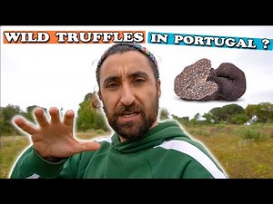 Foraging and Cooking TRUFFLES wild & fresh
