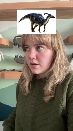 Tyrannosaurus Rex Vs Parasaurolophus: Sound, Speed & Pronunciation