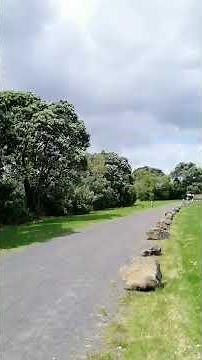 Partial Goods Receipt reversal in SAP || Different business processes with solutions || SAP S4 HANA