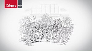 51K views · 251 reactions | Headed to the garden centre? Watch our...