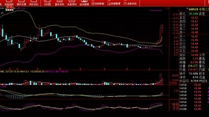 李晓军《缠论中级课程》第09节-交易体系案例解析_哔哩哔哩_bilibili