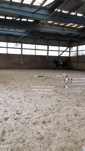 Dein Weg zur erfolgreichen Springsaison mit Stute