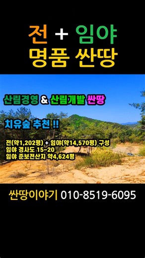 (봉화-2645) 봉화 경사완만 산림경영 산림개발 전+임야 싼땅