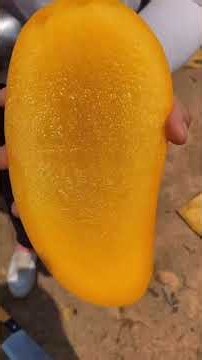 🍎 10 Amazing Facts About Fruits & Vegetables You Should Know! 🤯🥭🥗 #Shorts