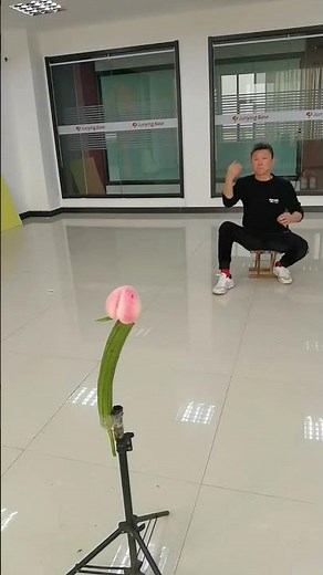 Amazing Flying Card Stunts | Perfect Card Throwing Skills That Look Like Magic #CardTricks