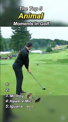 The top five animal moments in golf #golf #golfshot