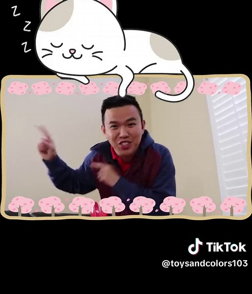 Toys and Colors on TikTok
