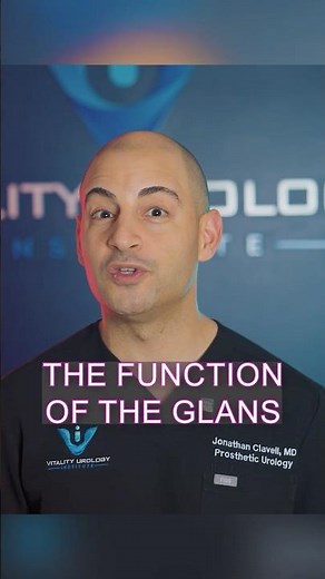 The Hidden Job of the Glans Penis
