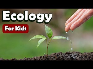 Ecology for Kids | Learn About Science for Kids